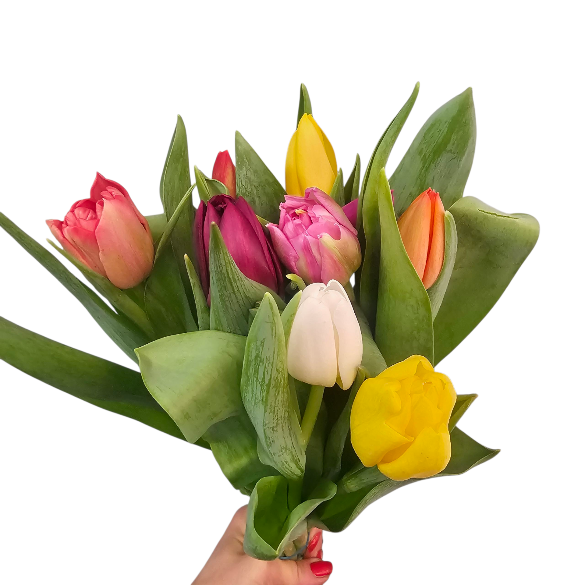 Monobouquet BALD VERFÜGBAR